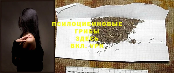 mix Абаза