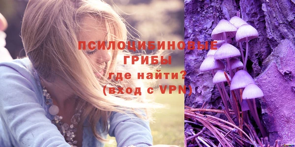 mix Абаза