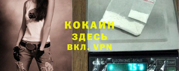СК Алзамай