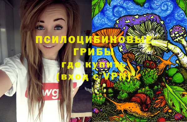 mix Абаза