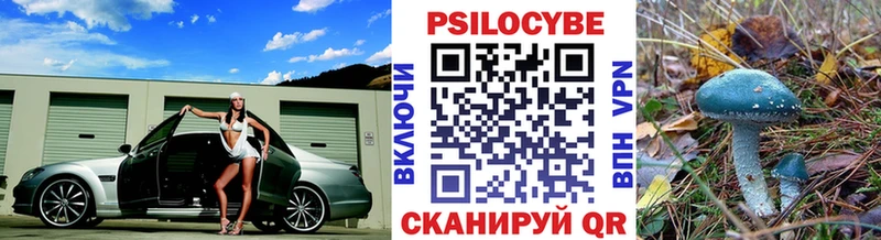 наркота  Тетюши  Псилоцибиновые грибы мицелий 